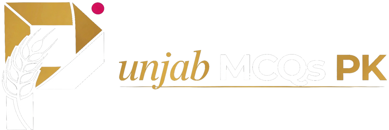 Punjab MCQs